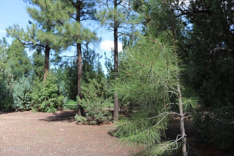 Tiny photo for 960 S Spirea Lane, Show Low, AZ 85901 (MLS # 263146)