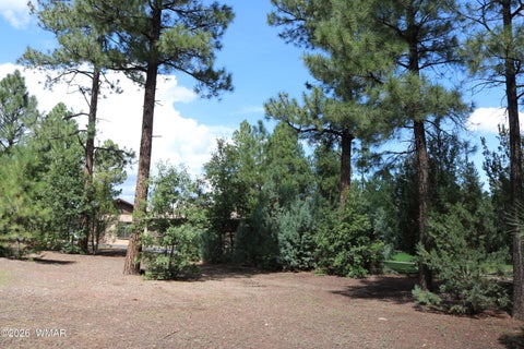 Tiny photo for 960 S Spirea Lane, Show Low, AZ 85901 (MLS # 263146)