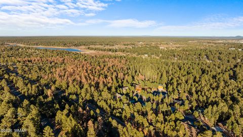 Tiny photo for 3031 W Alpine Ridge Ridge, Show Low, AZ 85901 (MLS # 259233)