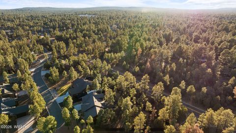 Tiny photo for 3031 W Alpine Ridge Ridge, Show Low, AZ 85901 (MLS # 259233)