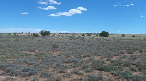 Tiny photo for 8356 Holly Trail, Snowflake, AZ 85937 (MLS # 261853)
