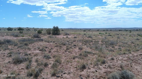 Tiny photo for 8356 Holly Trail, Snowflake, AZ 85937 (MLS # 261853)