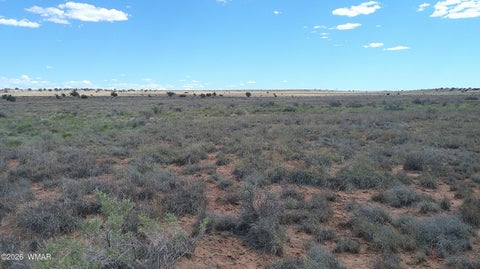Tiny photo for 8356 Holly Trail, Snowflake, AZ 85937 (MLS # 261853)