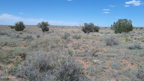 Tiny photo for 8356 Holly Trail, Snowflake, AZ 85937 (MLS # 261853)