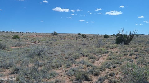 Tiny photo for 8356 Holly Trail, Snowflake, AZ 85937 (MLS # 261853)