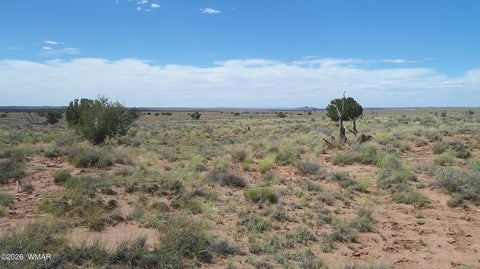 Tiny photo for 8356 Holly Trail, Snowflake, AZ 85937 (MLS # 261853)