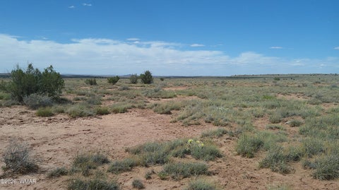 Tiny photo for 8356 Holly Trail, Snowflake, AZ 85937 (MLS # 261853)