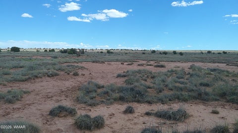Tiny photo for 8356 Holly Trail, Snowflake, AZ 85937 (MLS # 261853)