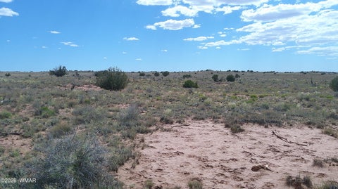 Tiny photo for 8356 Holly Trail, Snowflake, AZ 85937 (MLS # 261853)