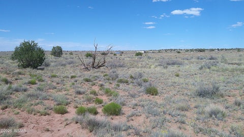 Tiny photo for 8356 Holly Trail, Snowflake, AZ 85937 (MLS # 261853)