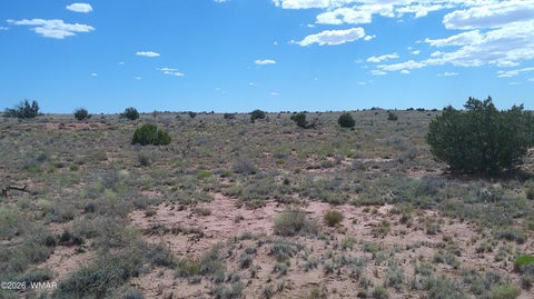 Tiny photo for 8356 Holly Trail, Snowflake, AZ 85937 (MLS # 261853)