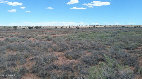 Tiny photo for 8356 Holly Trail, Snowflake, AZ 85937 (MLS # 261853)