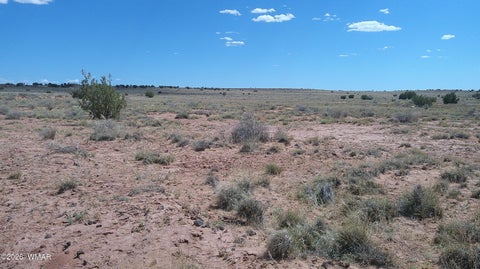 Tiny photo for 8356 Holly Trail, Snowflake, AZ 85937 (MLS # 261853)