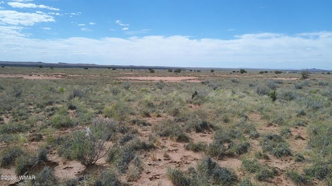 Tiny photo for 8356 Holly Trail, Snowflake, AZ 85937 (MLS # 261853)
