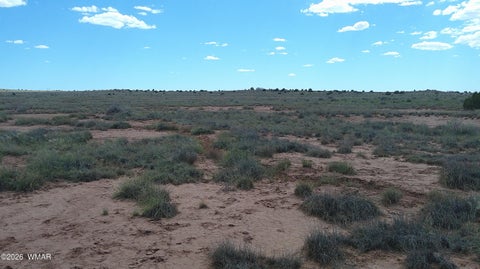 Tiny photo for 8356 Holly Trail, Snowflake, AZ 85937 (MLS # 261853)