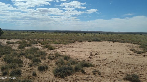 Tiny photo for 8356 Holly Trail, Snowflake, AZ 85937 (MLS # 261853)