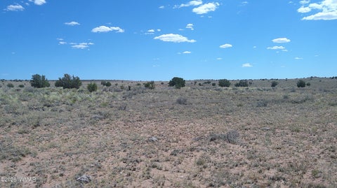 Photo of 8356 Holly Trail, Snowflake, AZ 85937 (MLS # 261853)