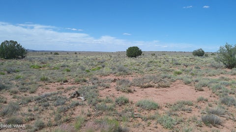 Tiny photo for 8356 Holly Trail, Snowflake, AZ 85937 (MLS # 261853)