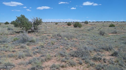 Tiny photo for 8356 Holly Trail, Snowflake, AZ 85937 (MLS # 261853)