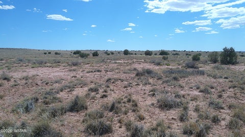 Tiny photo for 8356 Holly Trail, Snowflake, AZ 85937 (MLS # 261853)