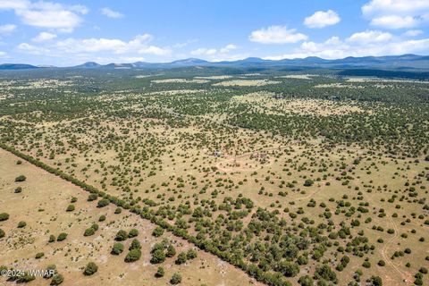 Tiny photo for 87 N3625, Vernon, AZ 85940 (MLS # 257929)