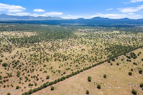 Tiny photo for 87 N3625, Vernon, AZ 85940 (MLS # 257929)