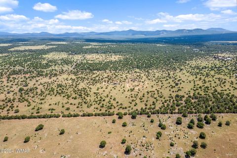 Tiny photo for 87 N3625, Vernon, AZ 85940 (MLS # 257929)
