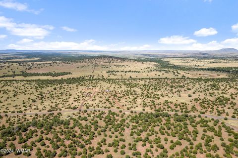 Tiny photo for 87 N3625, Vernon, AZ 85940 (MLS # 257929)