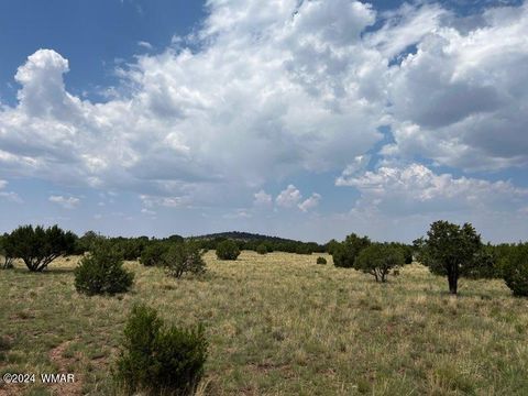 Tiny photo for 87 N3625, Vernon, AZ 85940 (MLS # 257929)