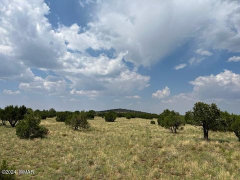 Tiny photo for 87 N3625, Vernon, AZ 85940 (MLS # 257929)