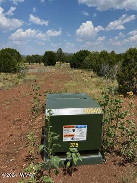 Tiny photo for 87 N3625, Vernon, AZ 85940 (MLS # 257929)
