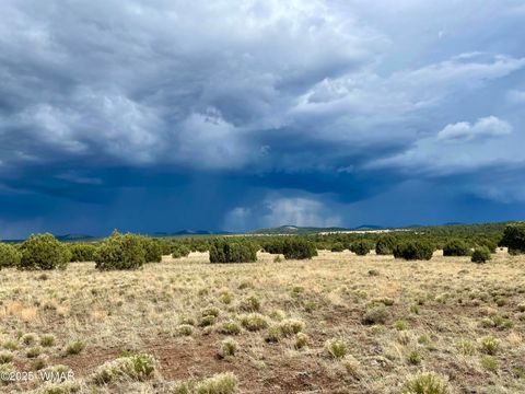 Tiny photo for 87 N3625, Vernon, AZ 85940 (MLS # 257929)