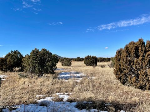 Tiny photo for 87 N3625, Vernon, AZ 85940 (MLS # 257929)