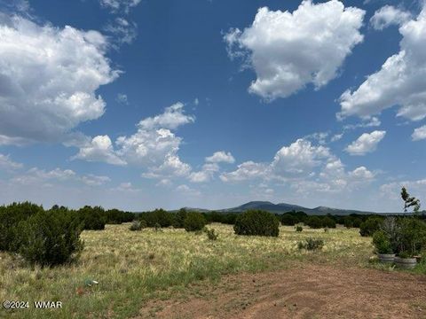 Tiny photo for 87 N3625, Vernon, AZ 85940 (MLS # 257929)