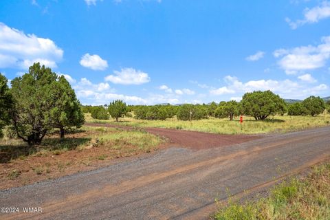 Tiny photo for 87 N3625, Vernon, AZ 85940 (MLS # 257929)