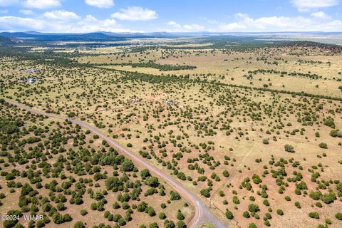 Tiny photo for 87 N3625, Vernon, AZ 85940 (MLS # 257929)