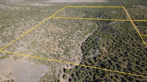 Tiny photo for TBD 3196, Vernon, AZ 85940 (MLS # 258561)