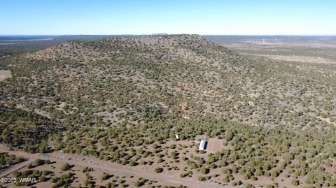 Tiny photo for TBD 3196, Vernon, AZ 85940 (MLS # 258561)