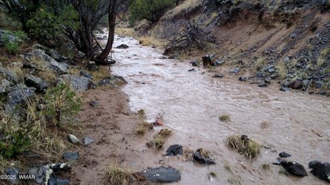 Tiny photo for TBD 3196, Vernon, AZ 85940 (MLS # 258561)