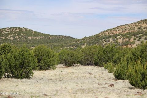 Tiny photo for TBD 3196, Vernon, AZ 85940 (MLS # 258561)