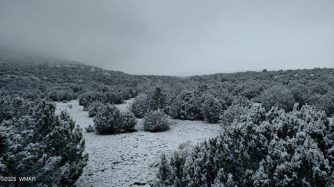 Photo of TBD 3196, Vernon, AZ 85940 (MLS # 258561)