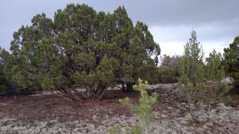 Tiny photo for TBD 3196, Vernon, AZ 85940 (MLS # 258561)