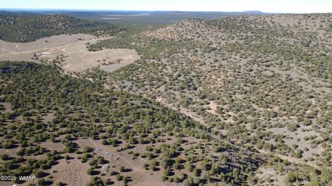 Tiny photo for TBD 3196, Vernon, AZ 85940 (MLS # 258561)