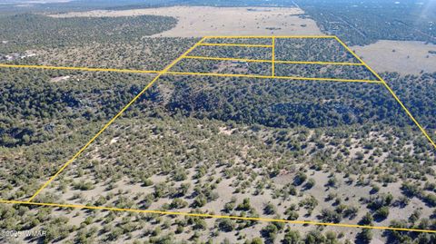 Tiny photo for TBD 3196, Vernon, AZ 85940 (MLS # 258561)