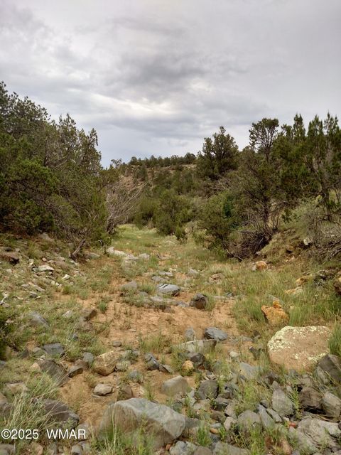 Tiny photo for TBD 3196, Vernon, AZ 85940 (MLS # 258561)