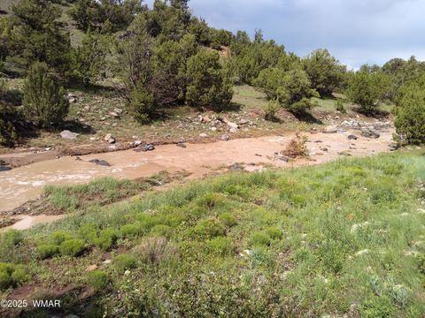 Tiny photo for TBD 3196, Vernon, AZ 85940 (MLS # 258561)