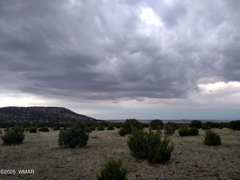 Tiny photo for TBD 3196, Vernon, AZ 85940 (MLS # 258561)