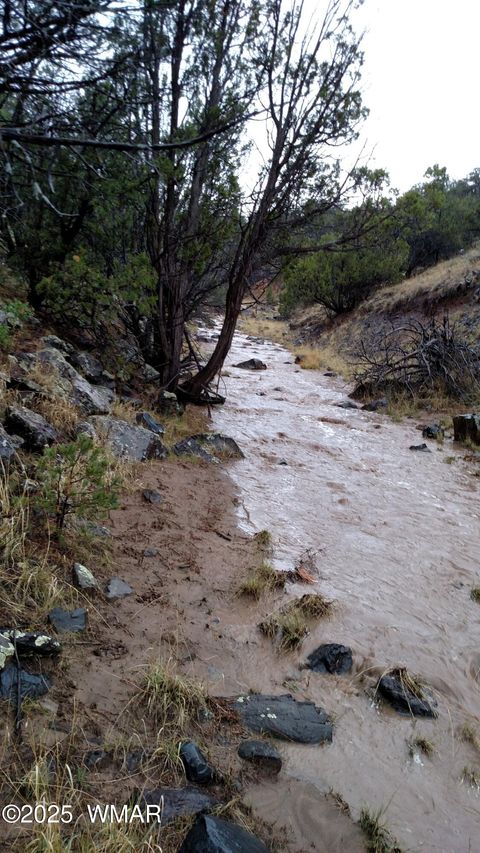 Tiny photo for TBD 3196, Vernon, AZ 85940 (MLS # 258561)