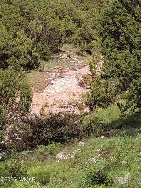 Tiny photo for TBD 3196, Vernon, AZ 85940 (MLS # 258561)