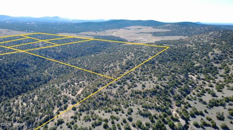 Tiny photo for TBD 3196, Vernon, AZ 85940 (MLS # 258561)